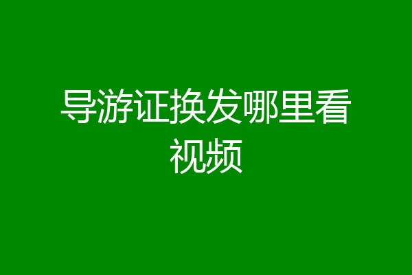导游证换发哪里看视频