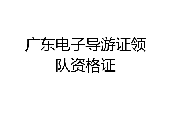 广东电子导游证领队资格证