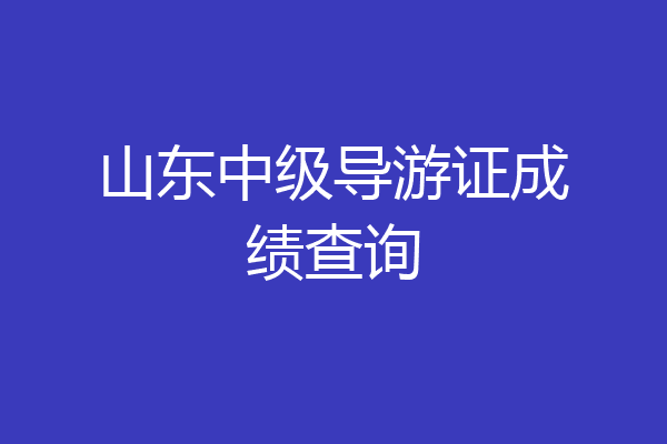 山东中级导游证成绩查询