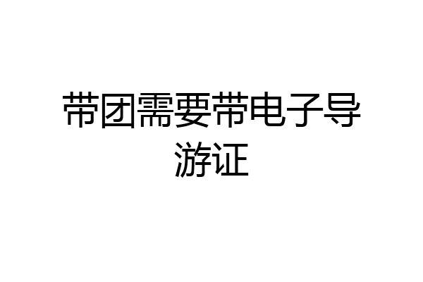 带团需要带电子导游证