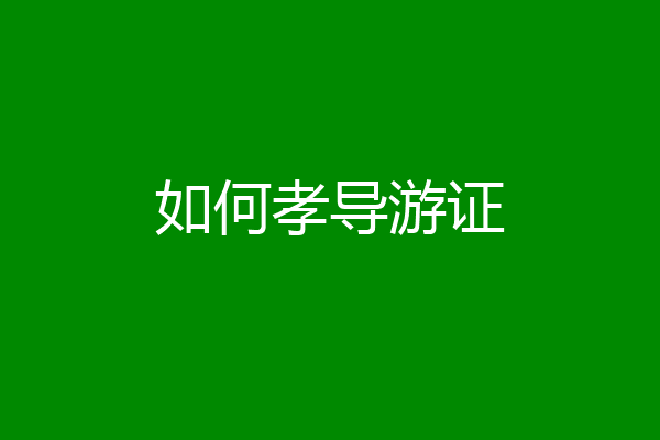 如何孝导游证