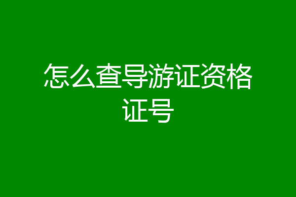 怎么查导游证资格证号
