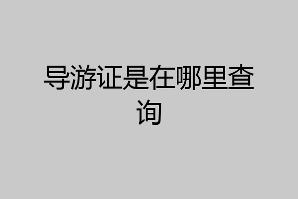 导游证是在哪里查询