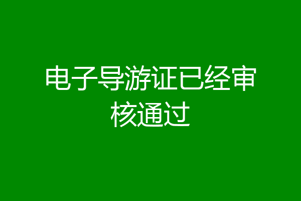 电子导游证已经审核通过