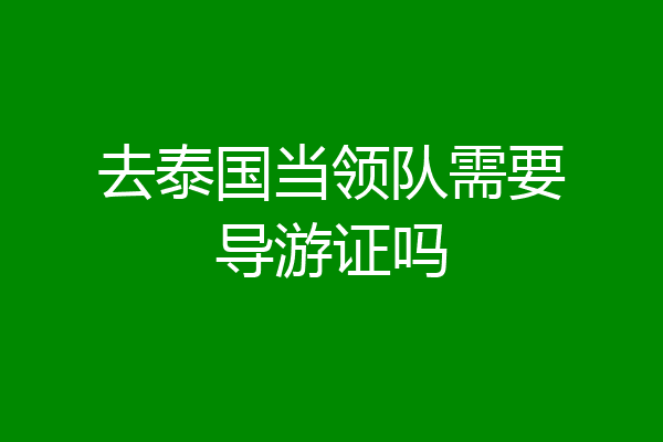 去泰国当领队需要导游证吗