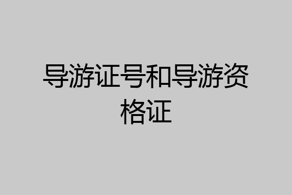 导游证号和导游资格证