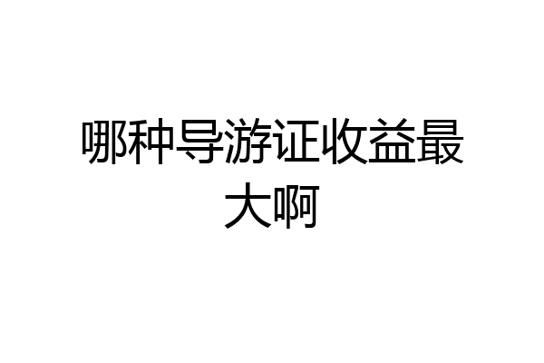 哪种导游证收益最大啊
