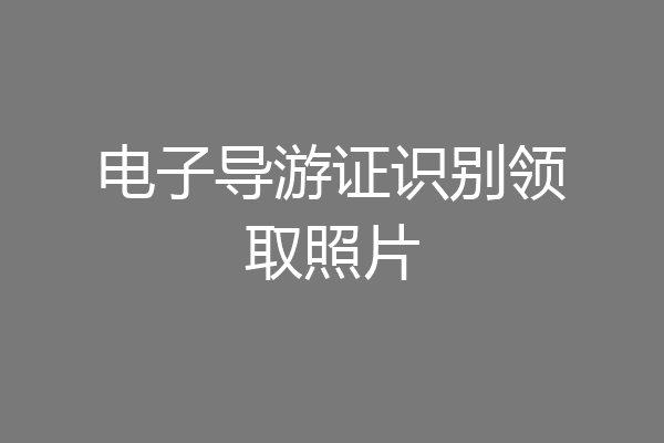 电子导游证识别领取照片