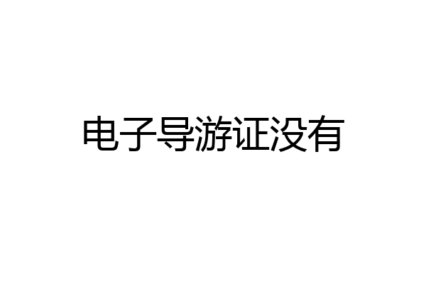 电子导游证没有