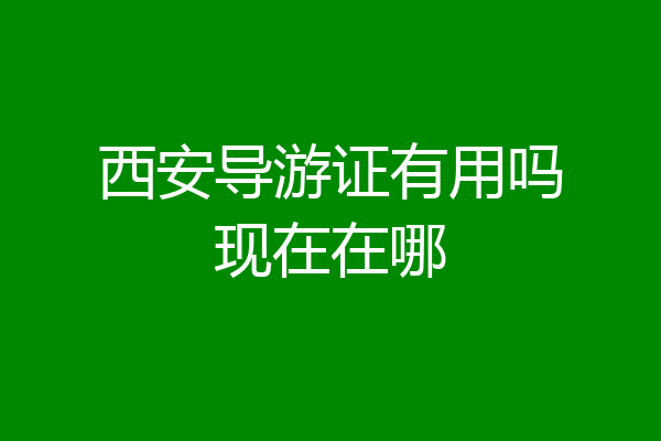 西安导游证有用吗现在在哪
