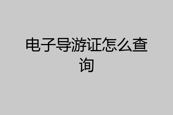 电子导游证怎么查询