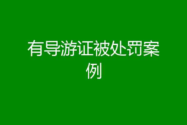有导游证被处罚案例