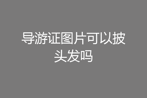 导游证图片可以披头发吗