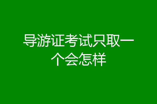 导游证考试只取一个会怎样