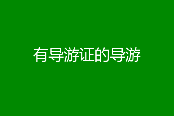 有导游证的导游