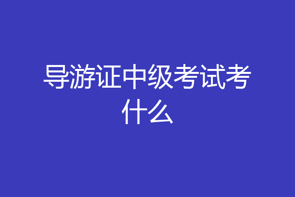 导游证中级考试考什么