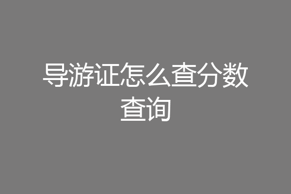 导游证怎么查分数查询