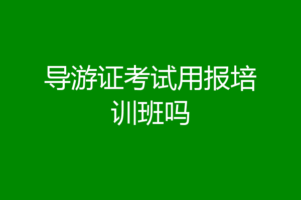导游证考试用报培训班吗
