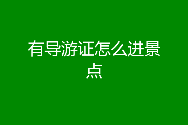 有导游证怎么进景点