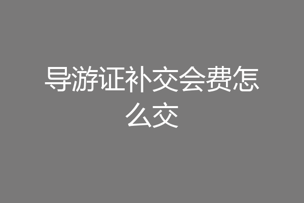 导游证补交会费怎么交