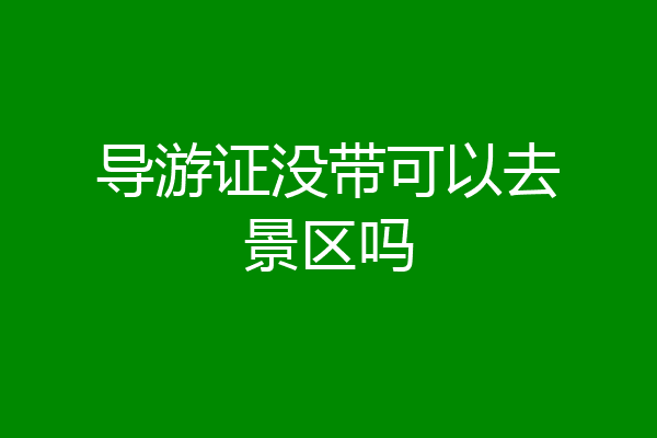 导游证没带可以去景区吗