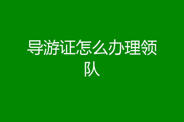 导游证怎么办理领队