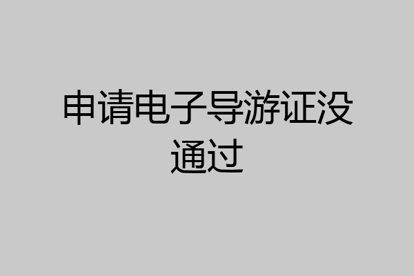 申请电子导游证没通过