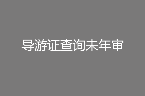 导游证查询未年审