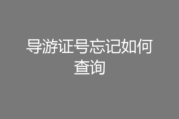 导游证号忘记如何查询