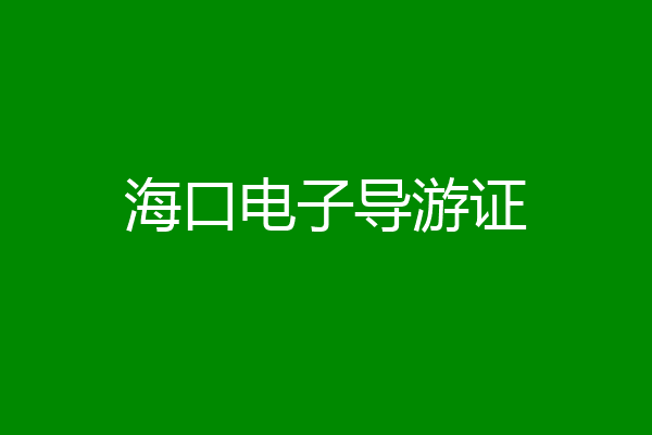 海口电子导游证
