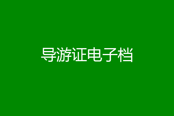 导游证电子档