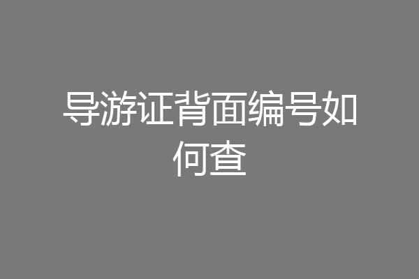 导游证背面编号如何查