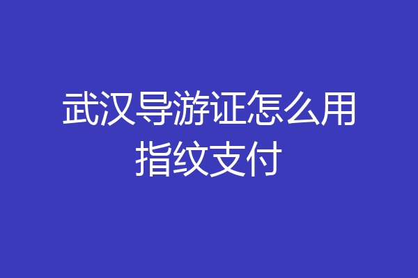 武汉导游证怎么用指纹支付