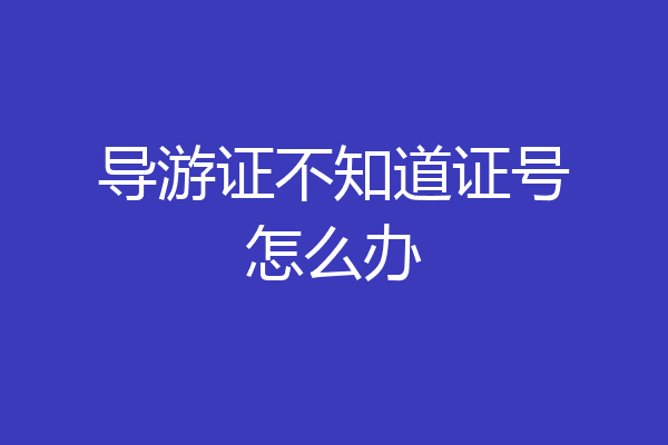 导游证不知道证号怎么办