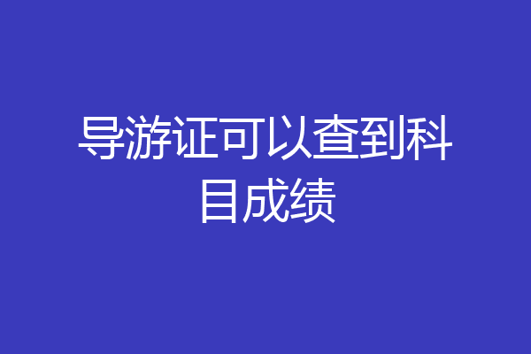 导游证可以查到科目成绩