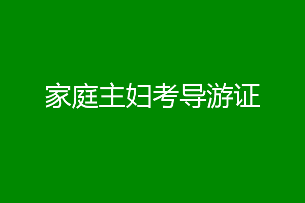 家庭主妇考导游证