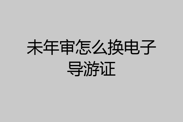 未年审怎么换电子导游证