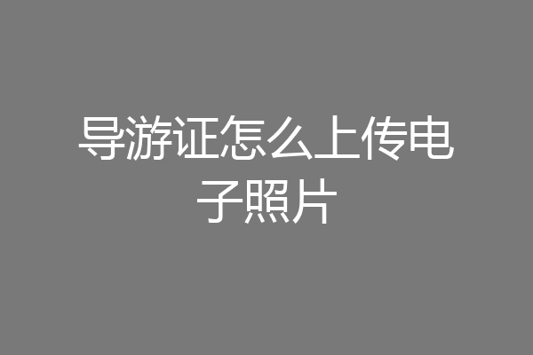 导游证怎么上传电子照片