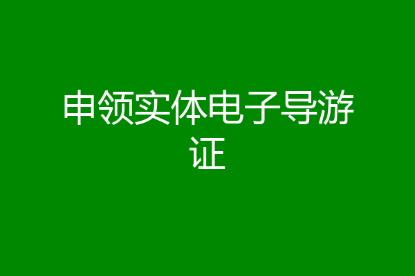 申领实体电子导游证