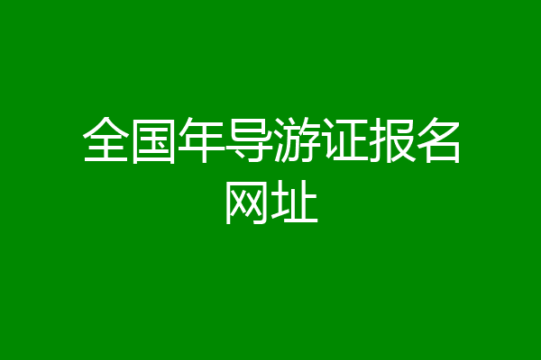 全国年导游证报名网址