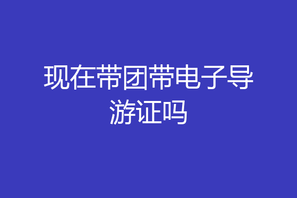 现在带团带电子导游证吗