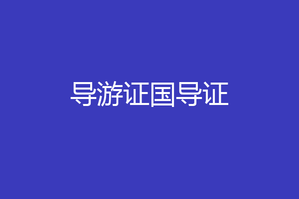 导游证国导证