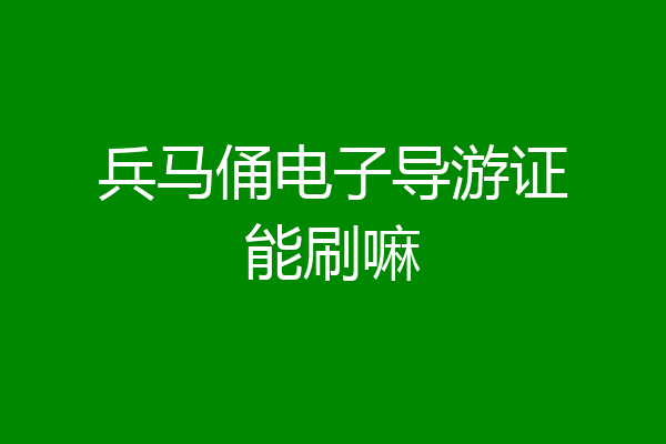 兵马俑电子导游证能刷嘛