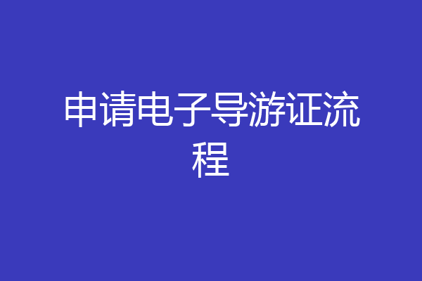 申请电子导游证流程
