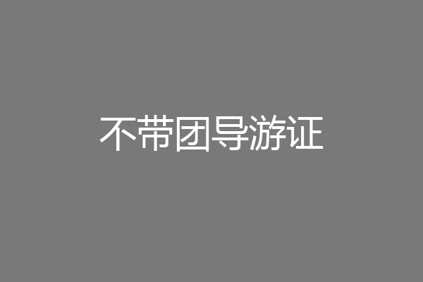 不带团导游证