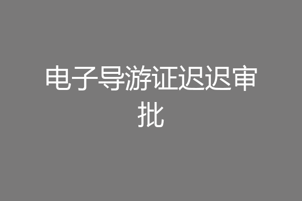 电子导游证迟迟审批