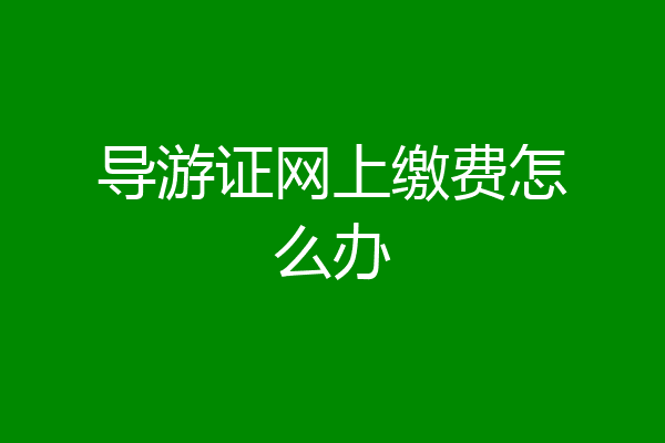 导游证网上缴费怎么办