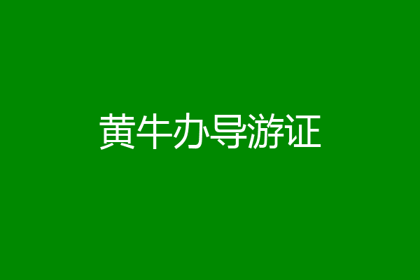 黄牛办导游证