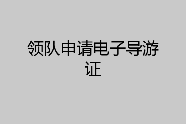 领队申请电子导游证