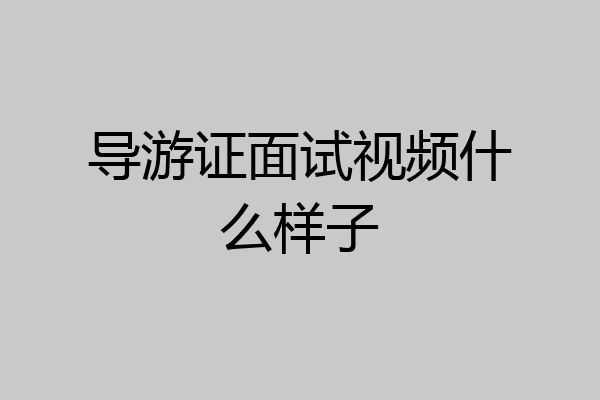 导游证面试视频什么样子